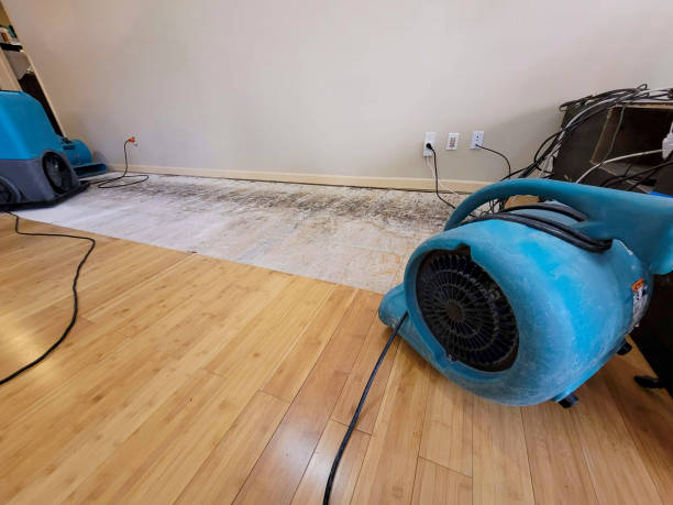Reliable Basement Flood Cleanup contractor in Myra, TX by Hirex Water Damage