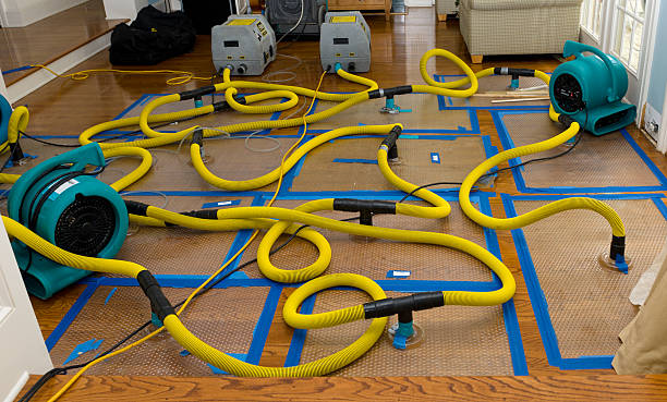 Professional Basement Flood Cleanup technician working in Myra, TX